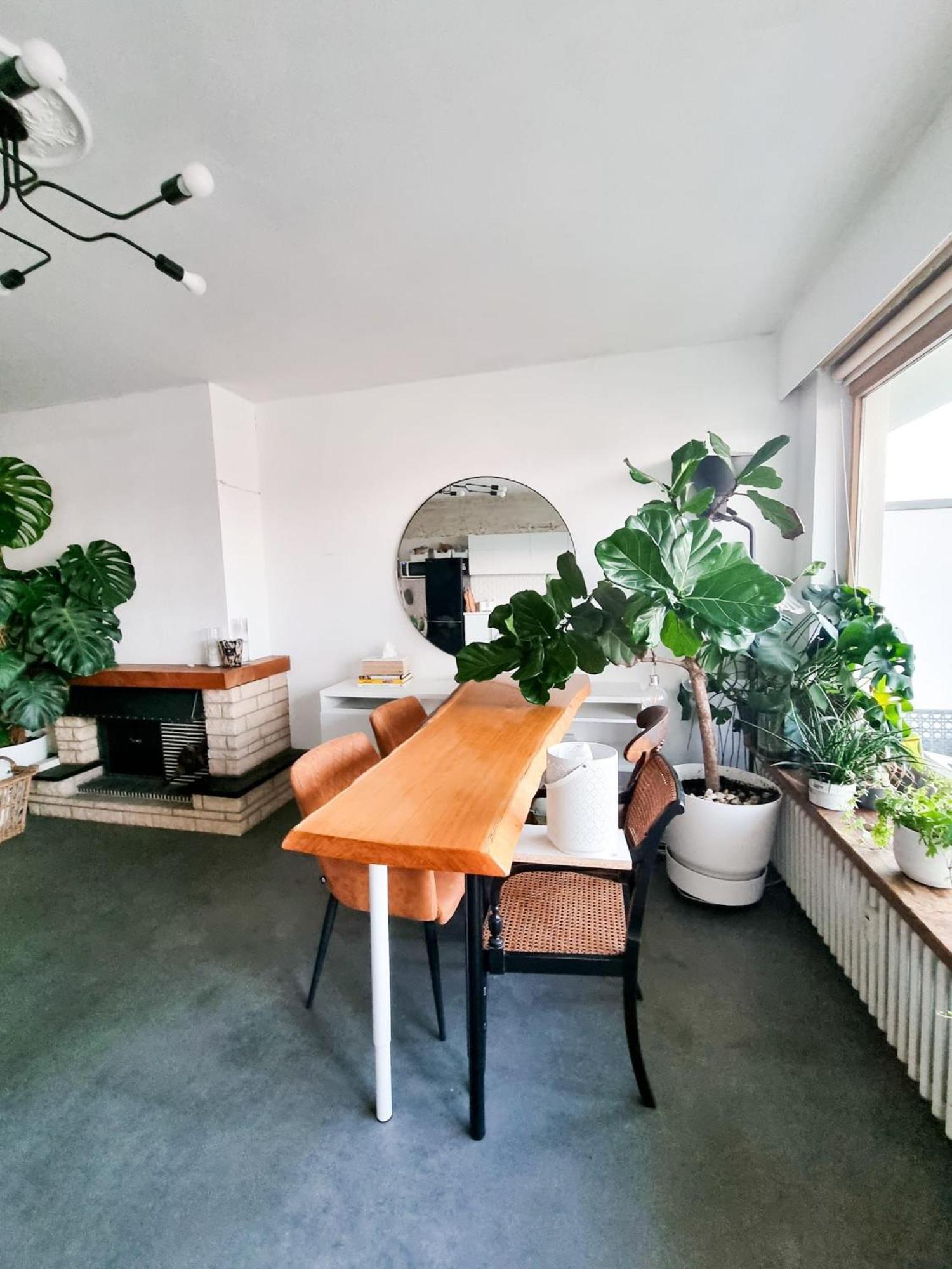 Furnished - Bright, Modern Apartment In Brussels, 15 Minutes Walk From The Atomium מראה חיצוני תמונה